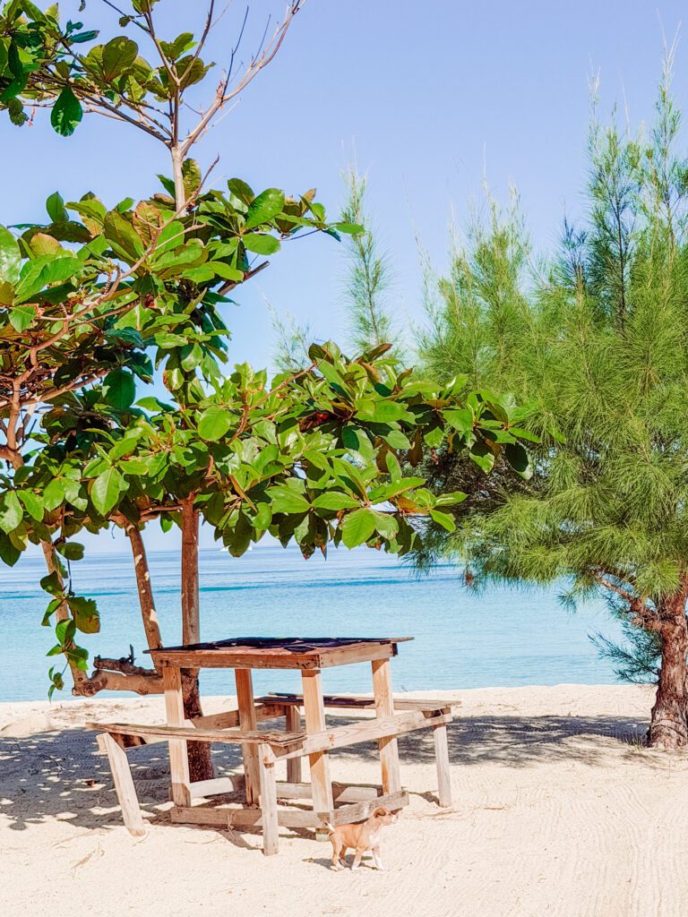 fish market negril