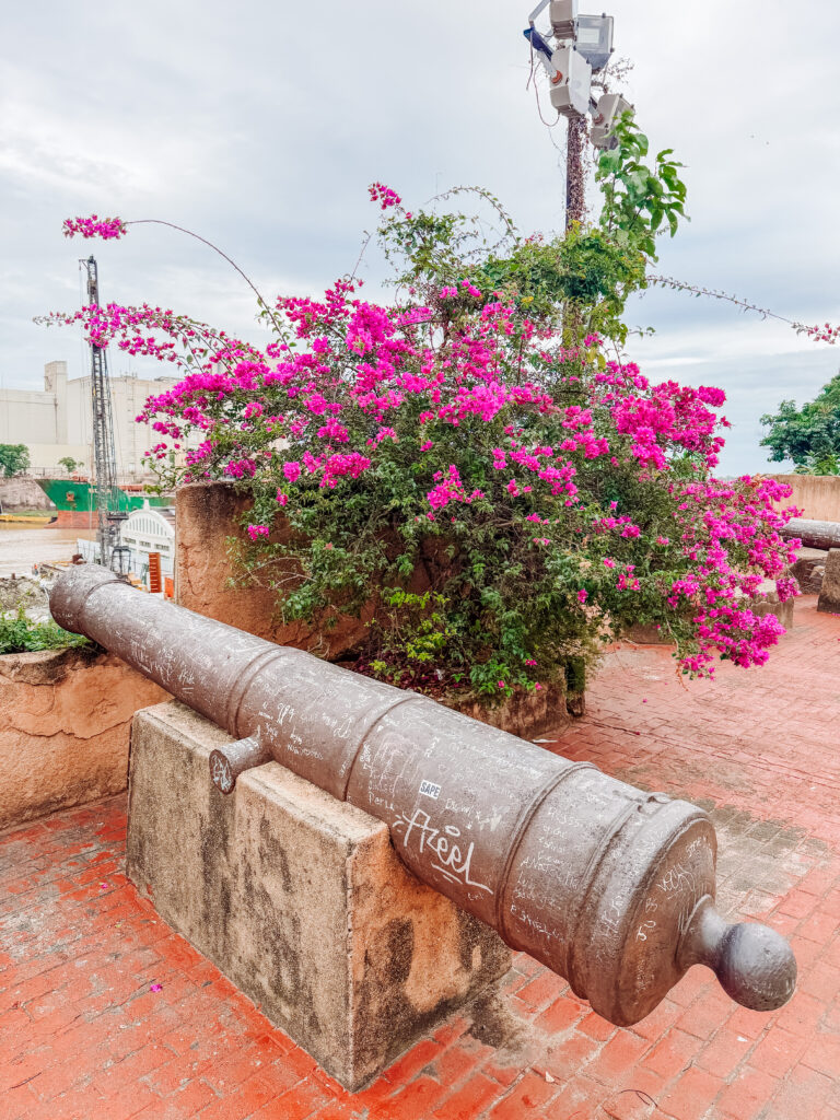 the old fortress area in santo domingo