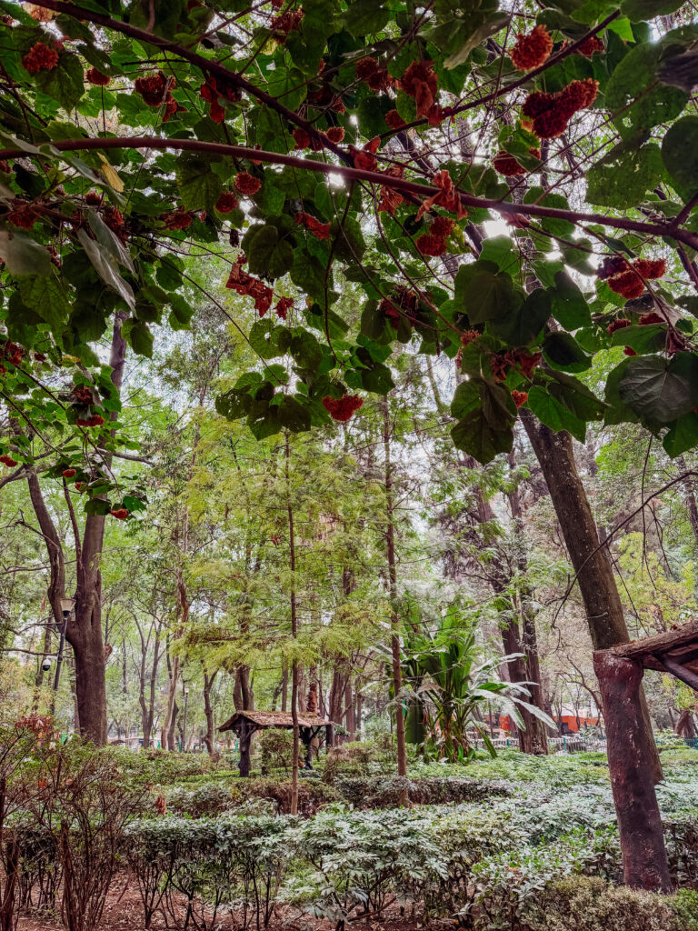 gardens in mexico city