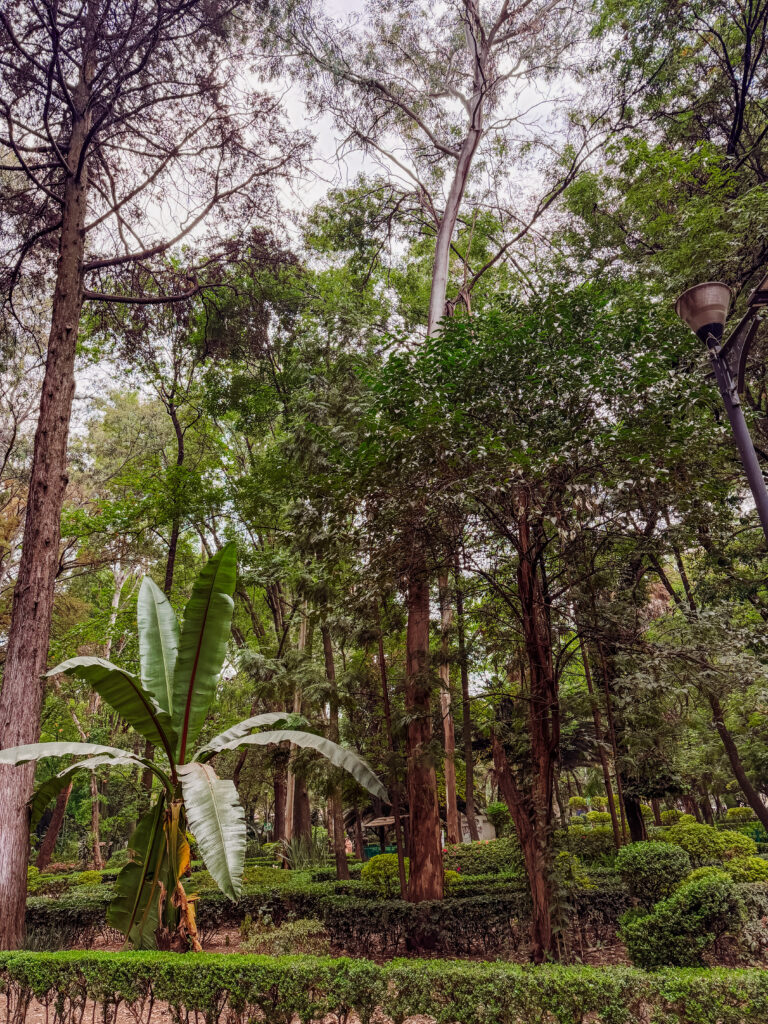 lush gardens in mexico City