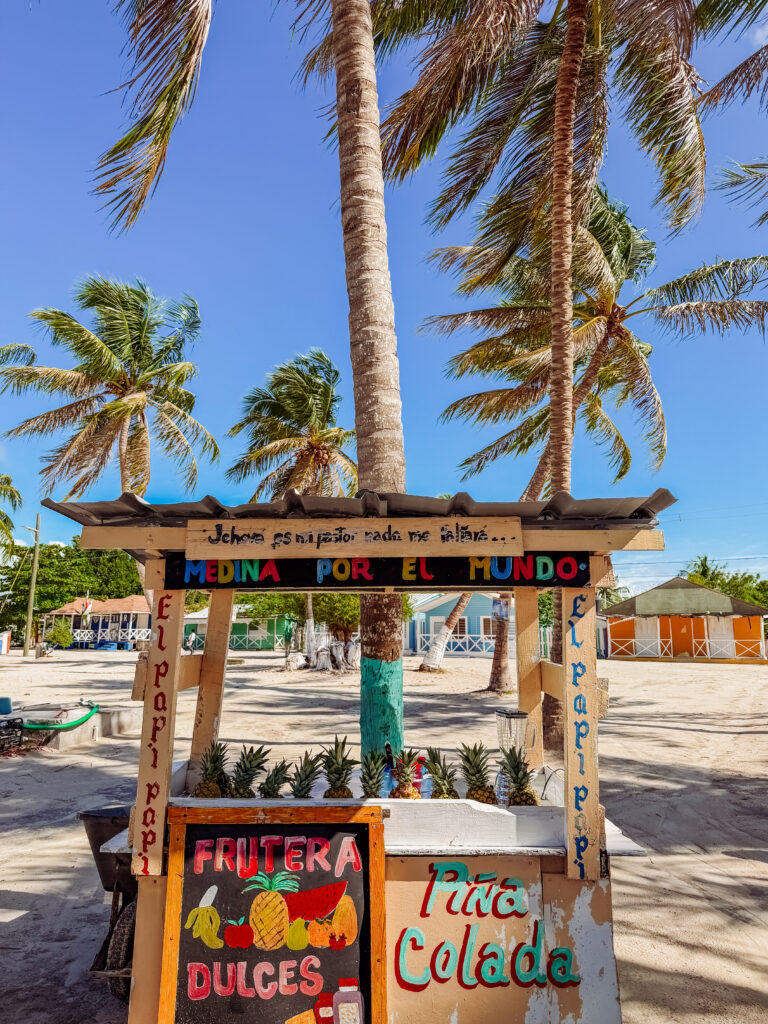 pina colada hut on saona island