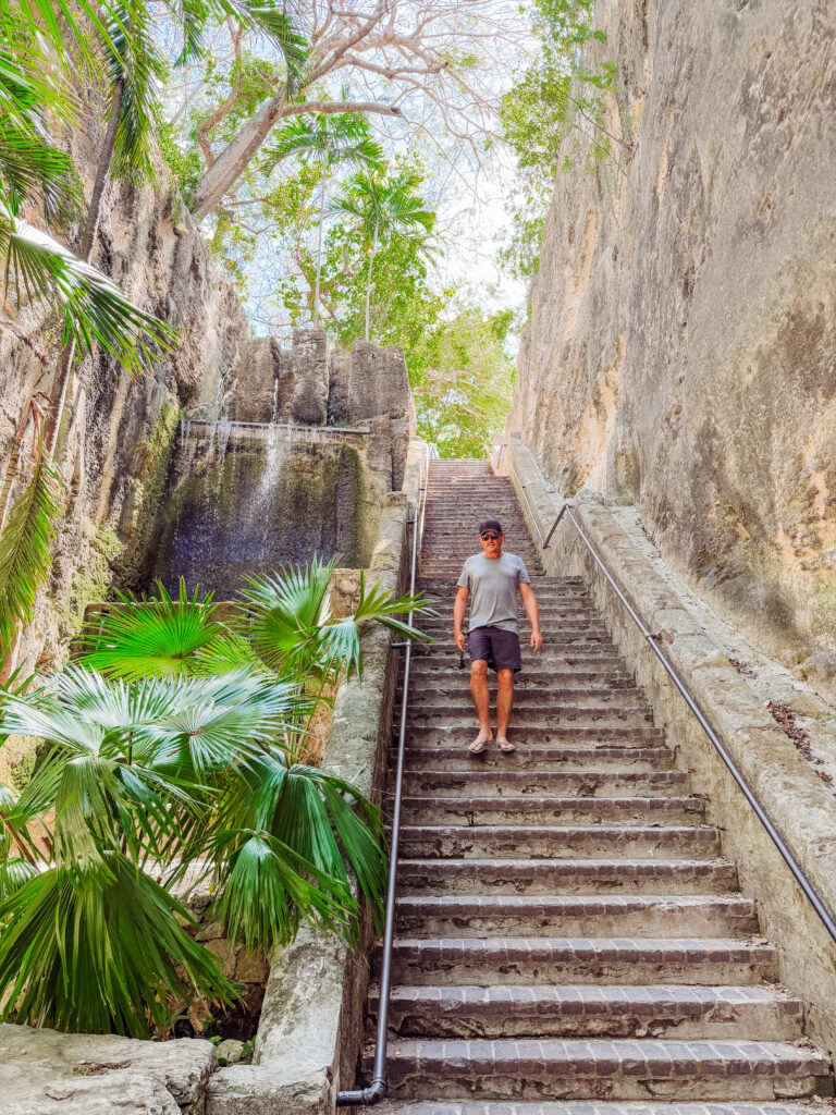 mike walking down the queens staircase in nassau
