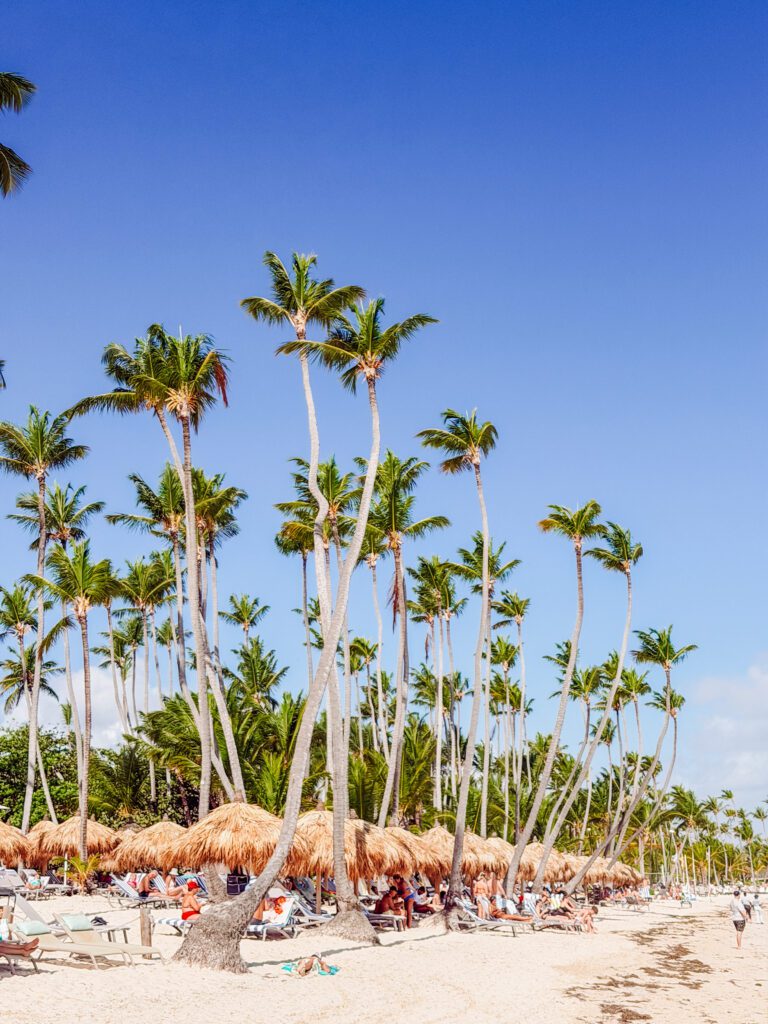 sun beds on punta cana beach