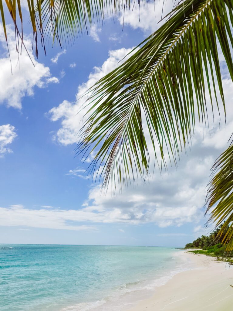 beaches are stunning on saona island