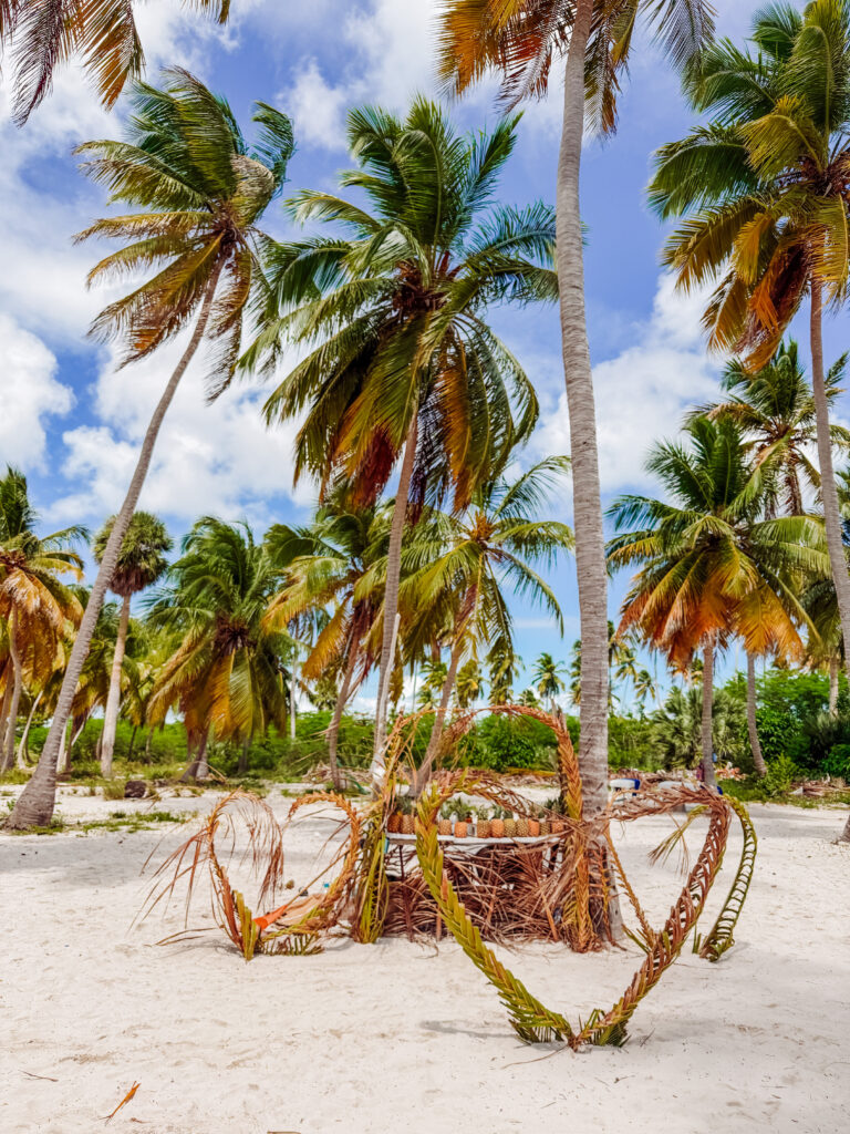 beaches are stunning on saona island