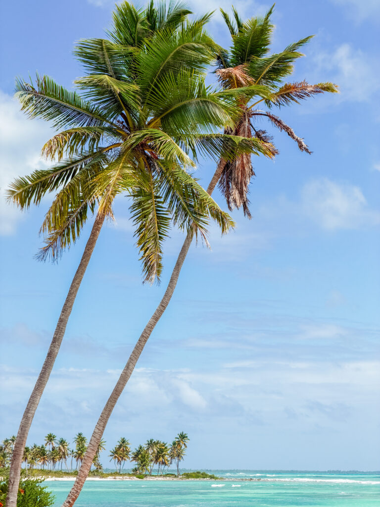 beaches are stunning on saona island