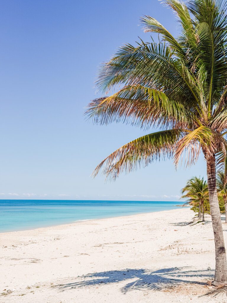 sunset beach was a secluded and romantic spot on ocean cay bahamas