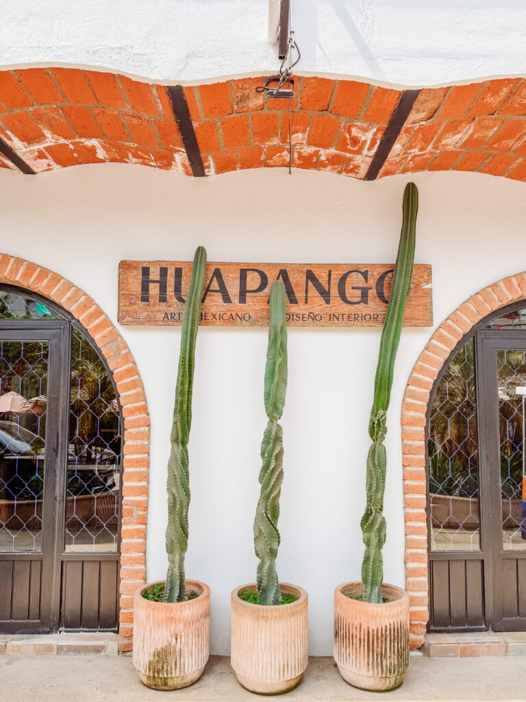 street scenes in san pancho mexico