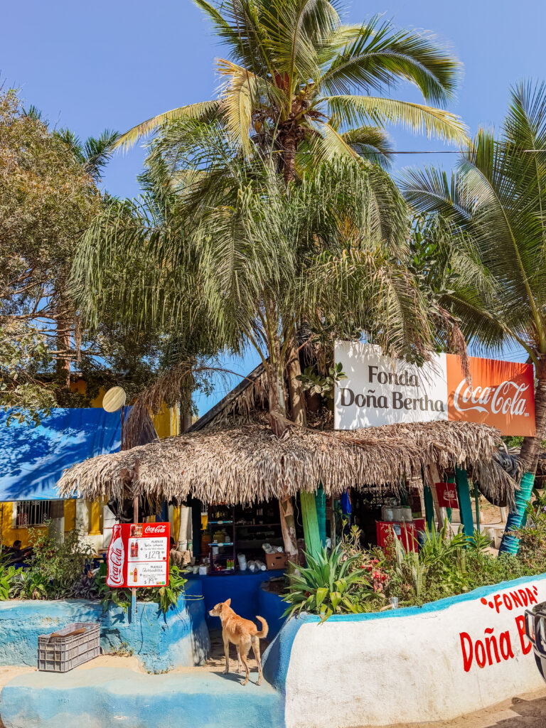 street scenes in san pancho mexico