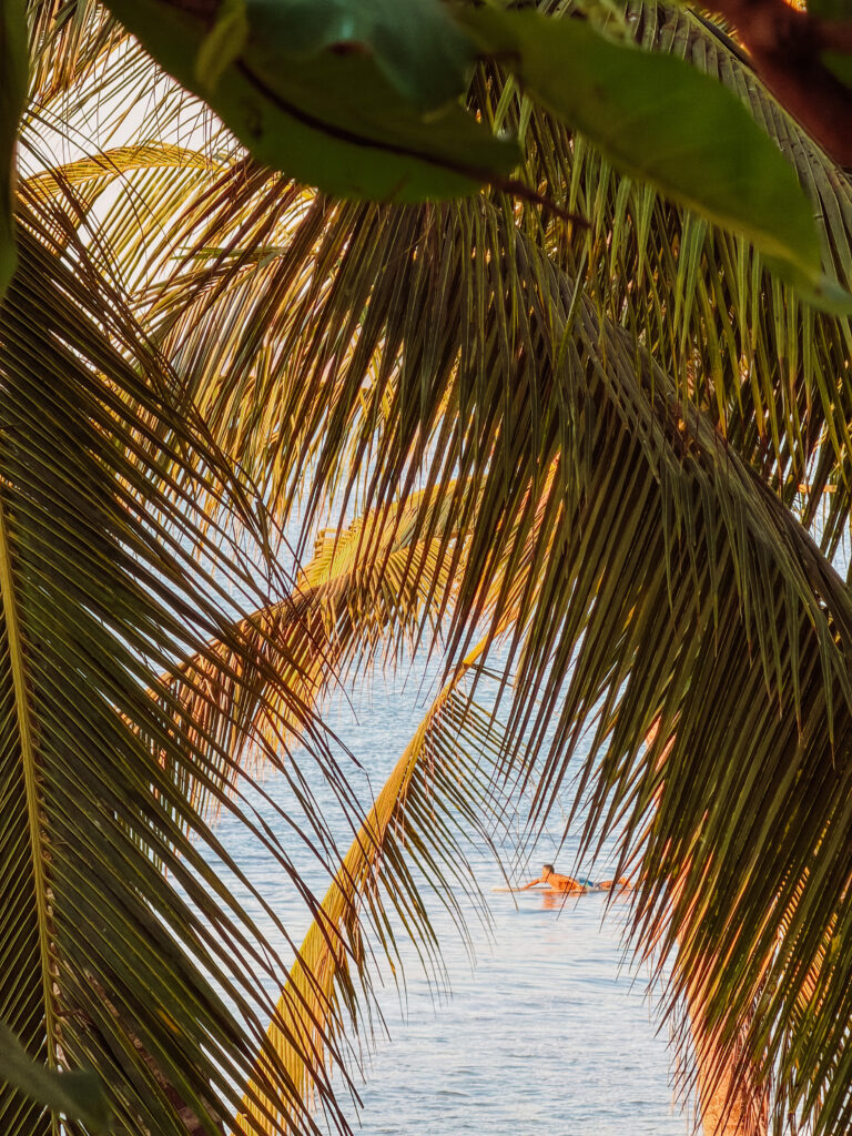 sufer at sunset in sayulita, riviera nayarit mexico