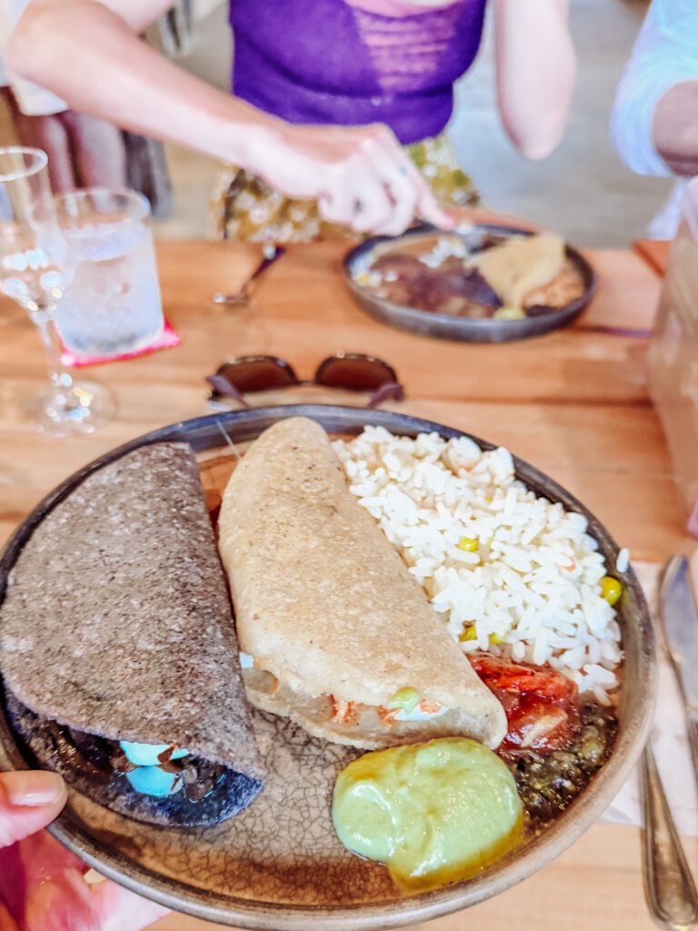 tequila and raicilla tasting included dinner on an agave farm near sayulita