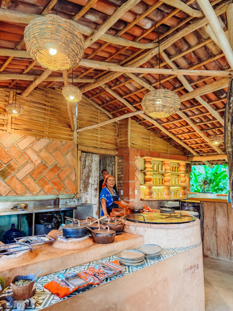 tequila and raicilla tasting included dinner on an agave farm near sayulita