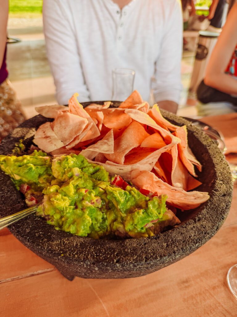 tequila and raicilla tasting included dinner on an agave farm near sayulita