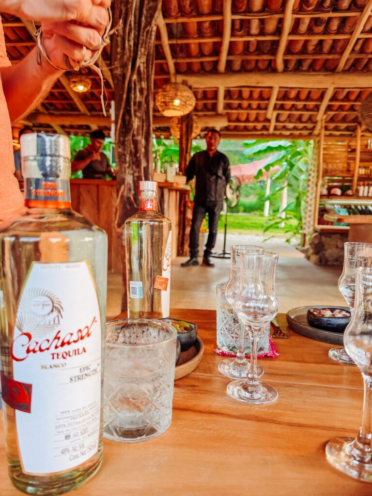 tasting tequila and raicilla on an agave farm near sayulita