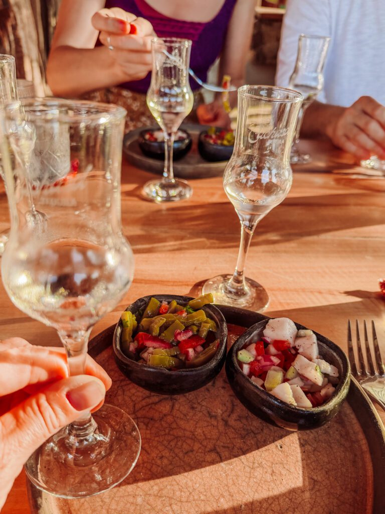 tasting tequila and raicilla on an agave farm near sayulita