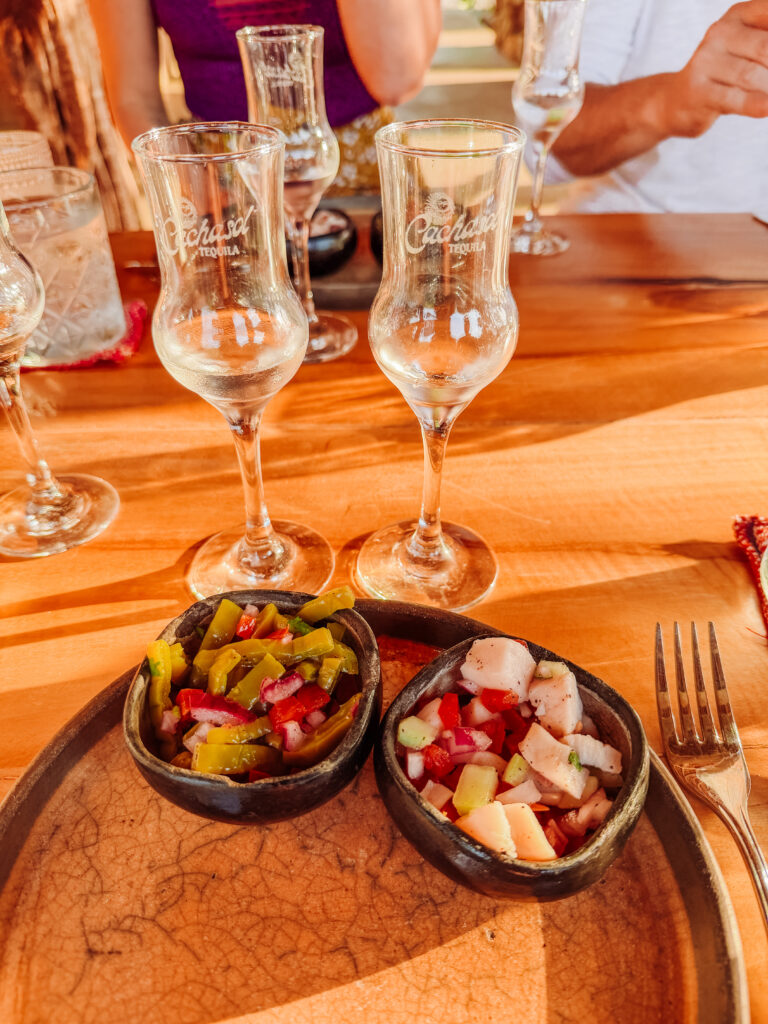 tasting tequila and raicilla on an agave farm near sayulita