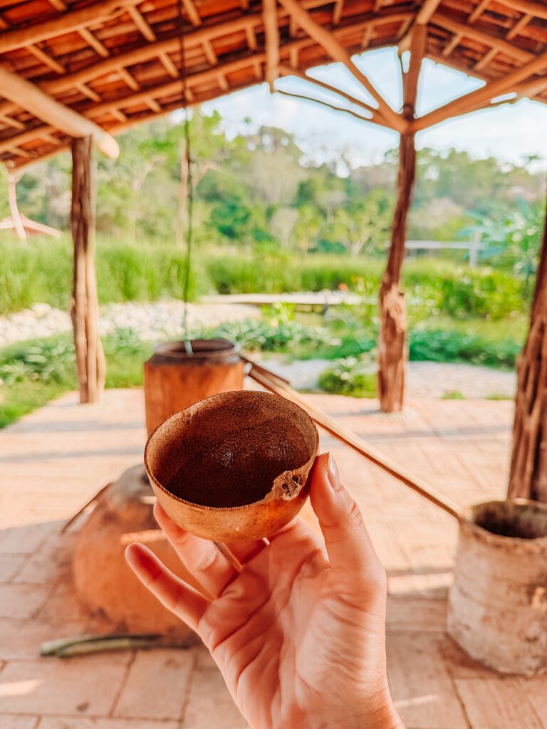 tequila and raicilla production on an agave farm near sayulita