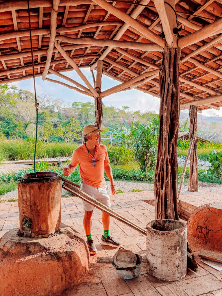 learning tequila and raicilla production on an agave farm near sayulita