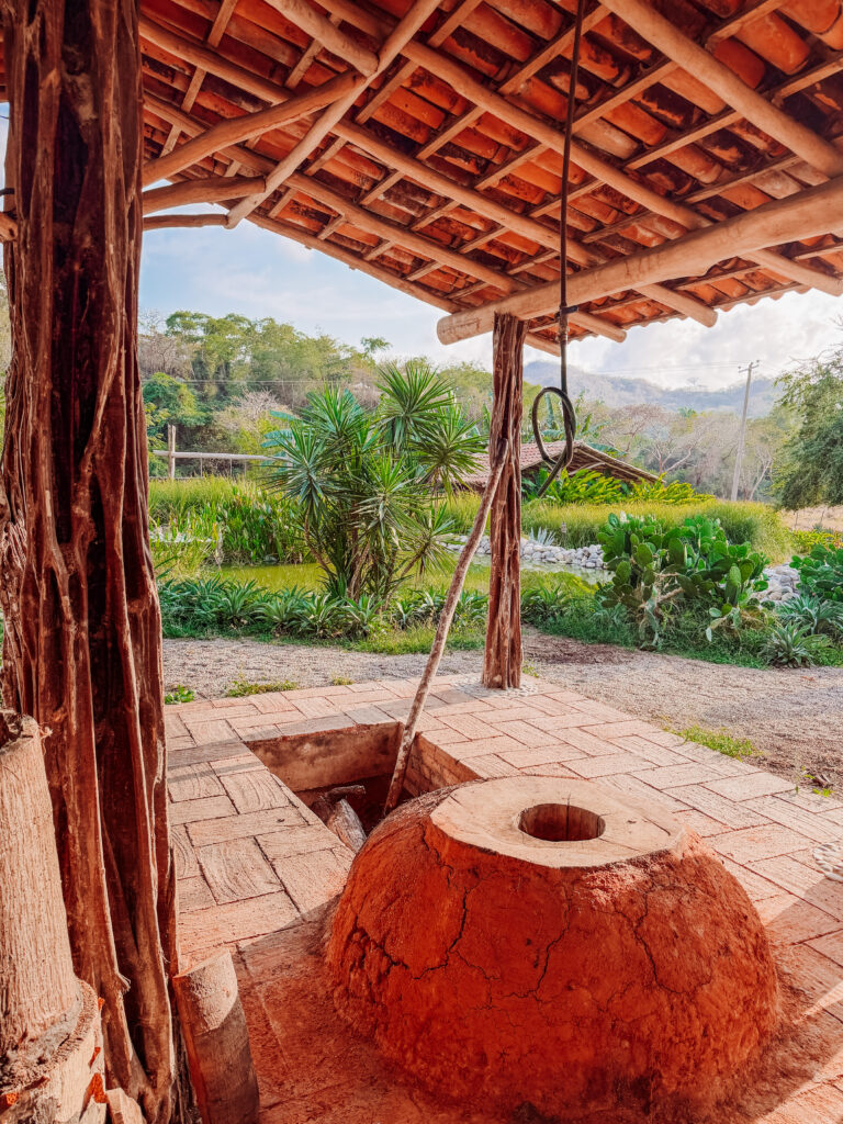 learning about tequila and raicilla production on an agave farm near sayulita
