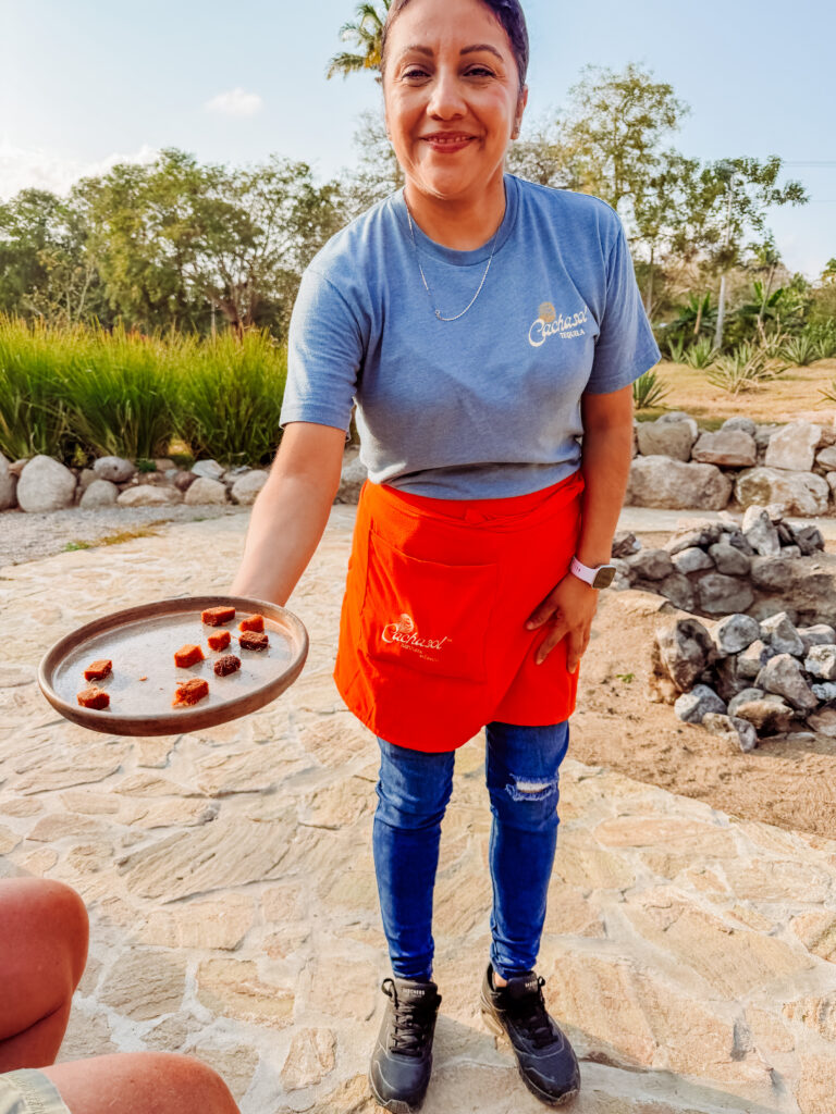 learning about tequila and raicilla, tasting the process as we learn on an agave farm near sayulita