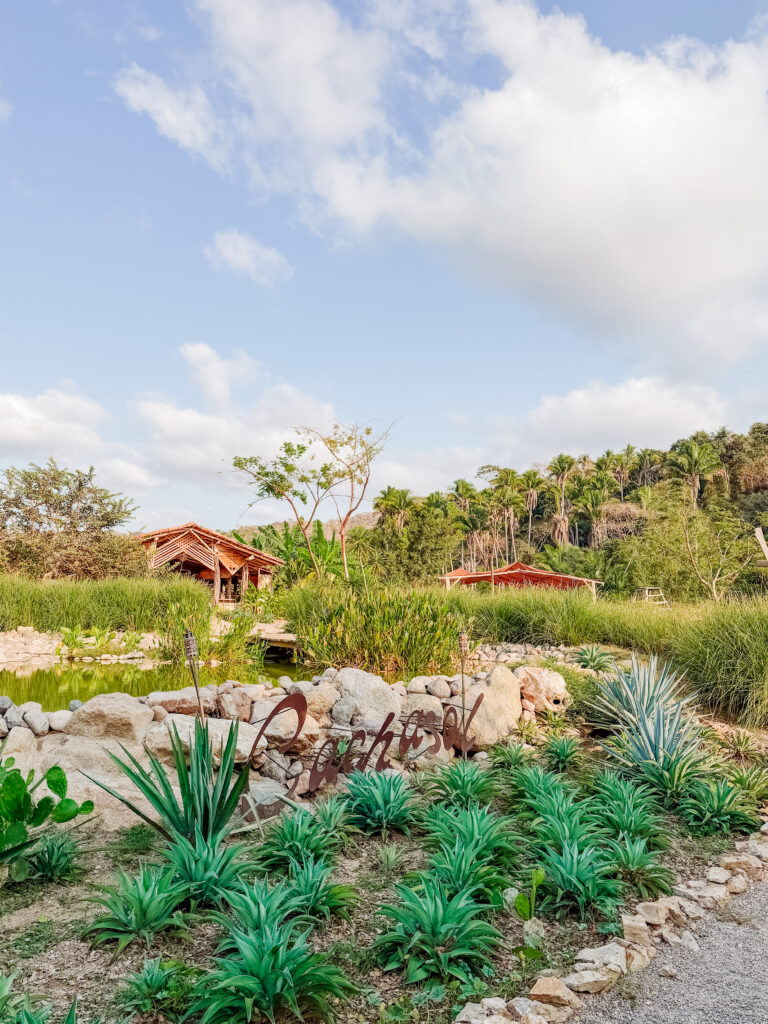 tequila tasting on an agave farm near sayulita