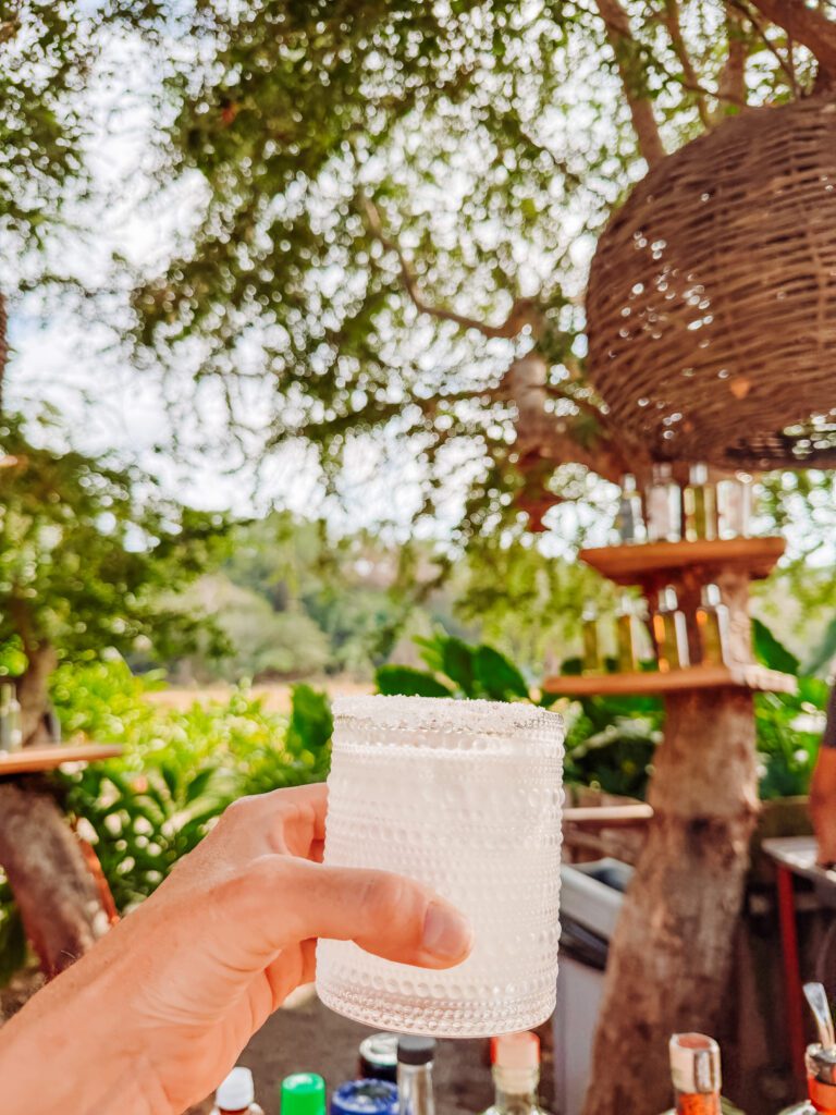 can confirm the tequila is excellent -tequila tasting on an agave farm near sayulita