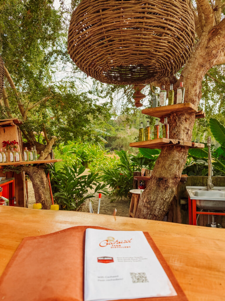 the bar at the tequila tasting on an agave farm near sayulita