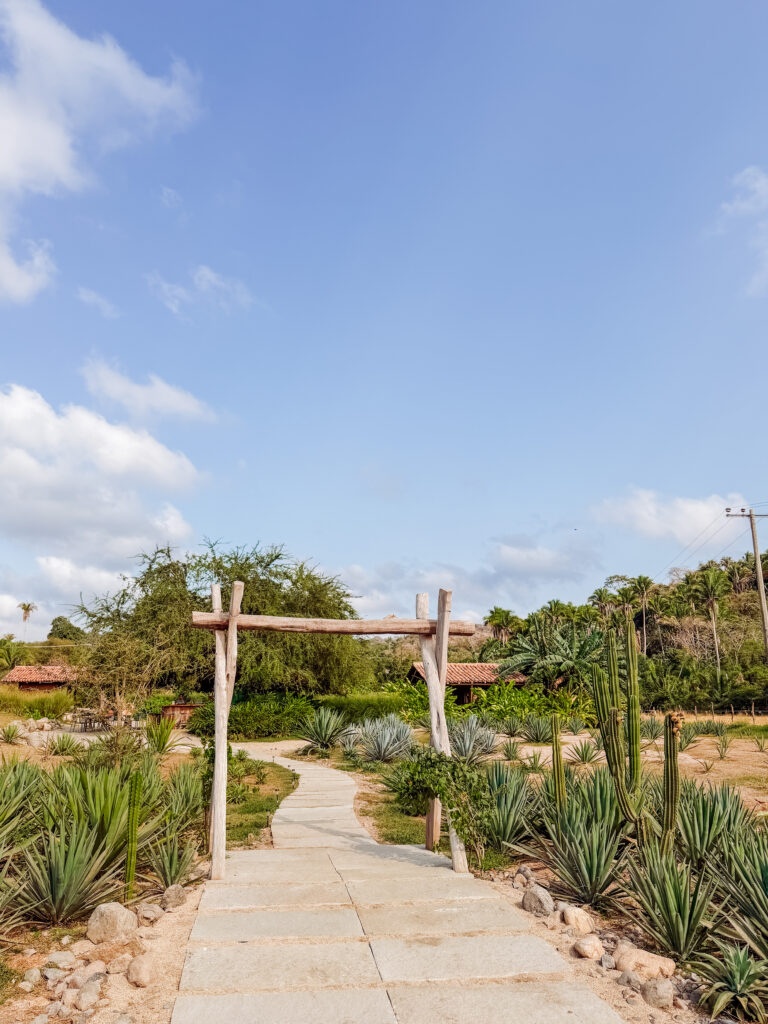 arriving at our tequila tasting on an agave farm near sayulita