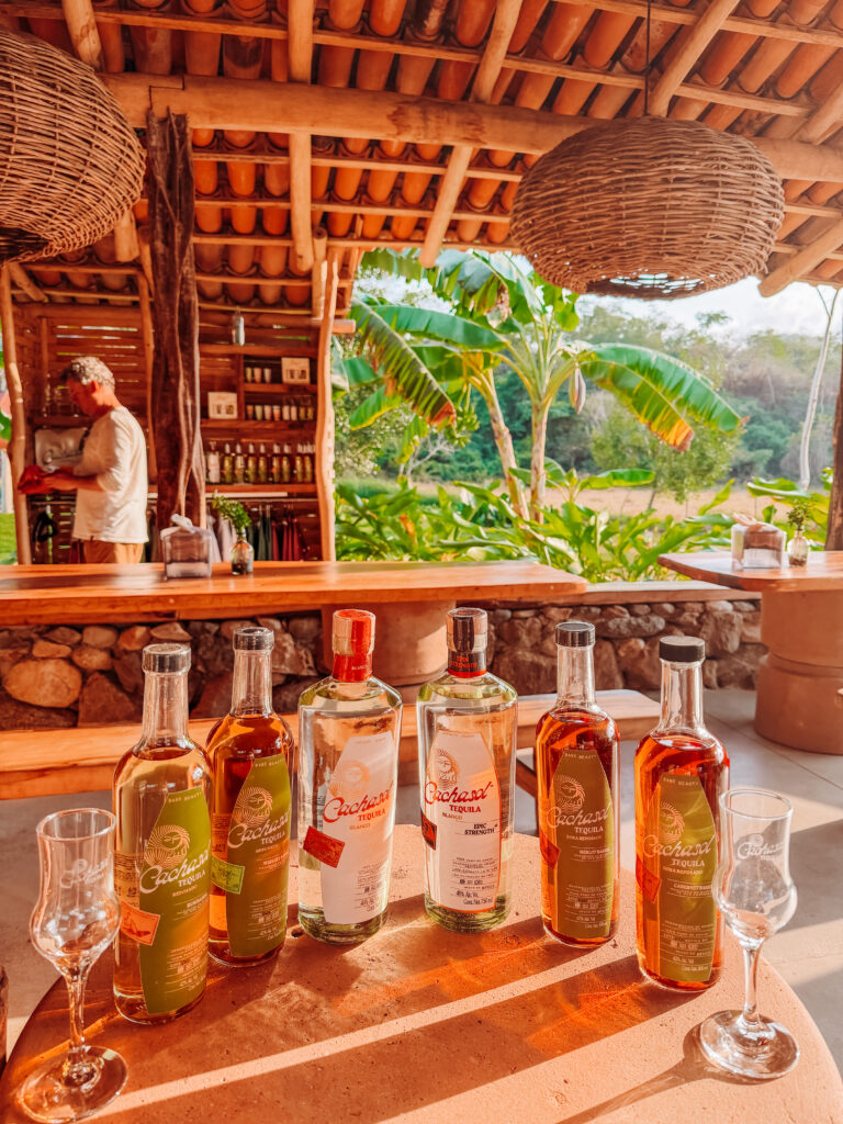 the best tequila tasting in sayulita, mexico
