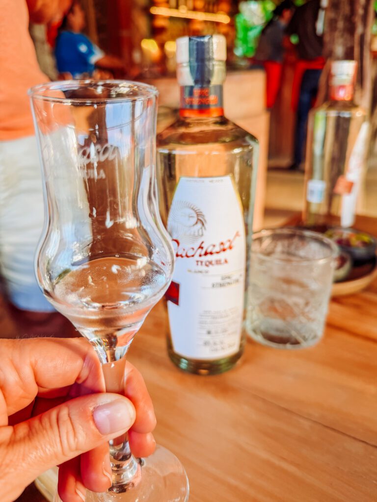 best experience in sayulita tequila tasting on an agave farm, mexico