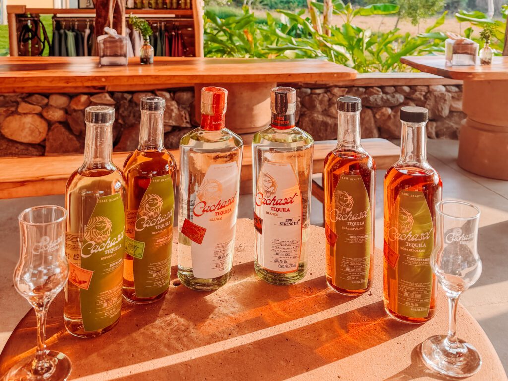 best experience in sayulita! we loved our tequila tasting on an agave farm