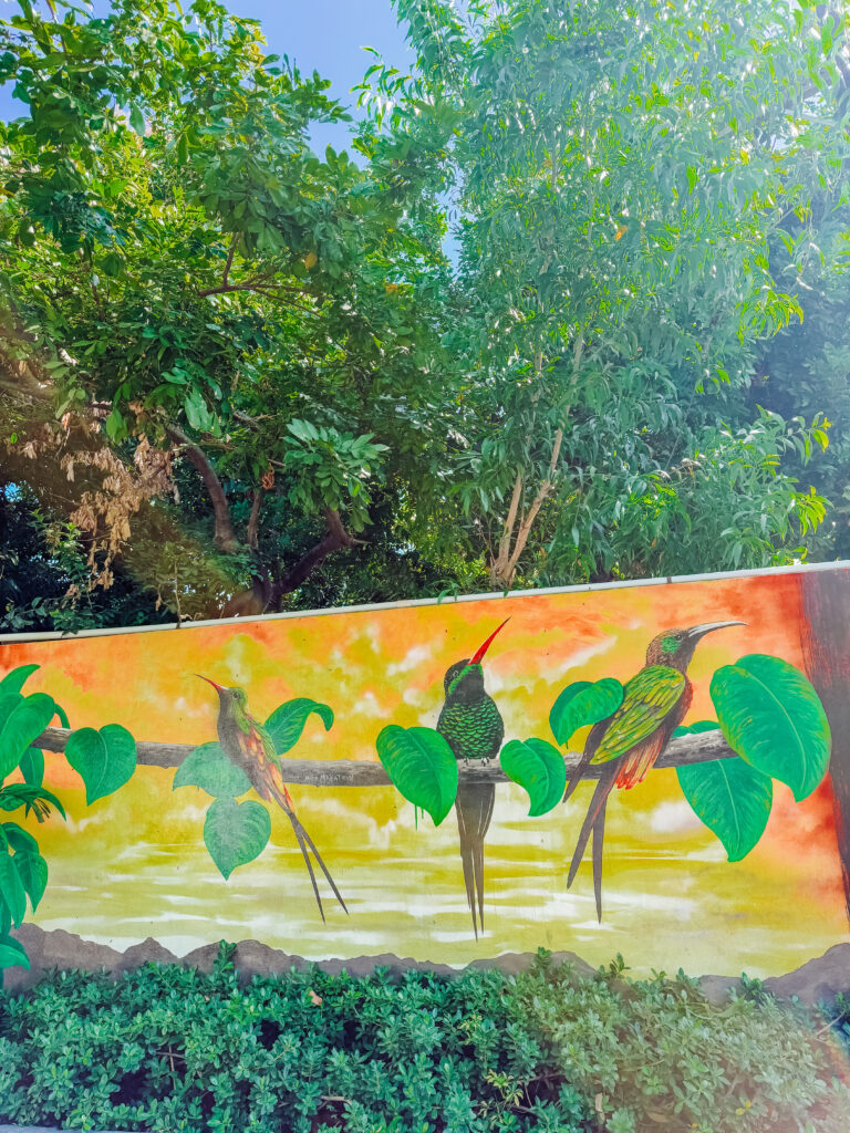 art at bob marley tour kingston