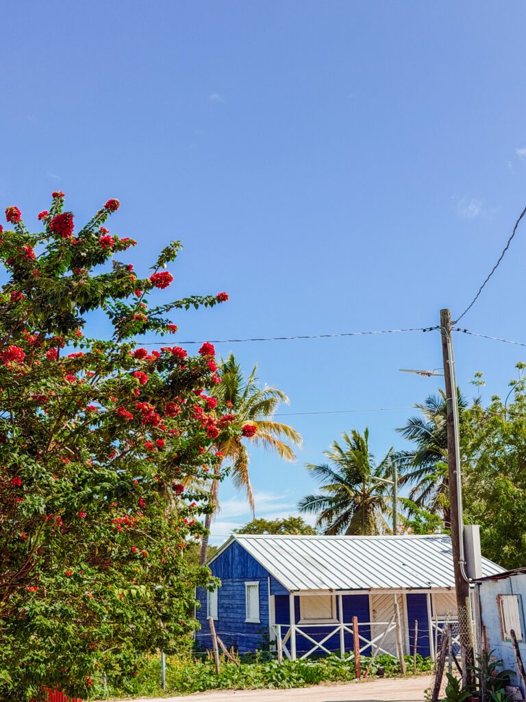 colourful buildings on saona island
