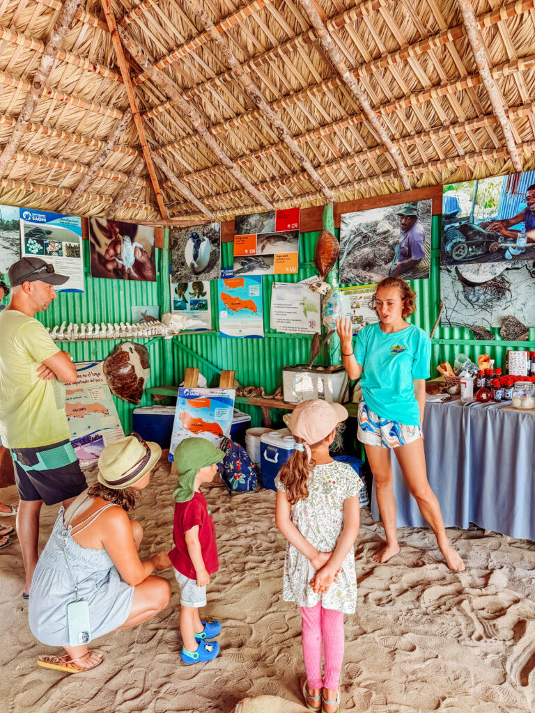 saona island turtle project