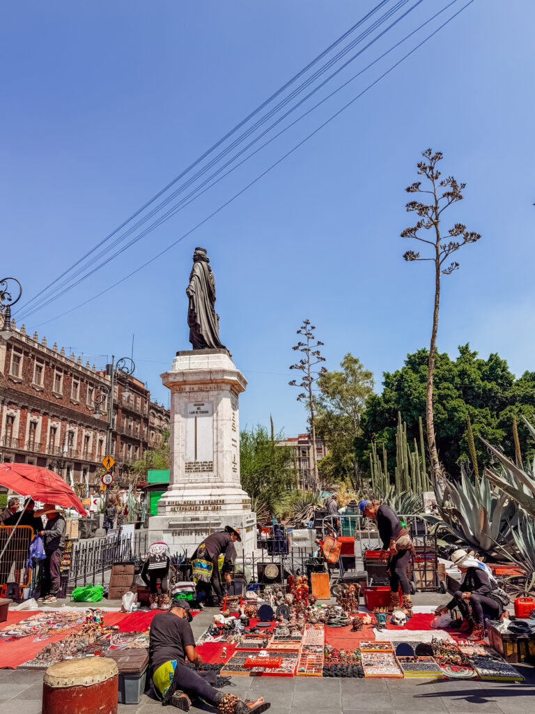 views of the cathedral and sharmen in mexico city