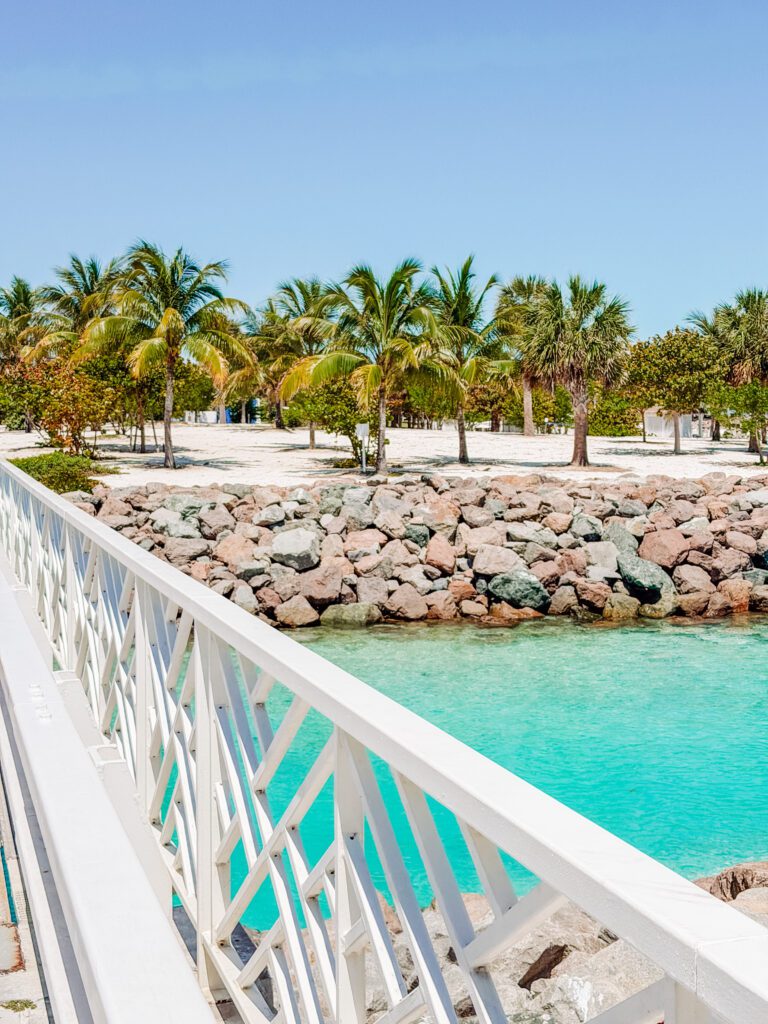 walking around ocean cay bahamas cruise
