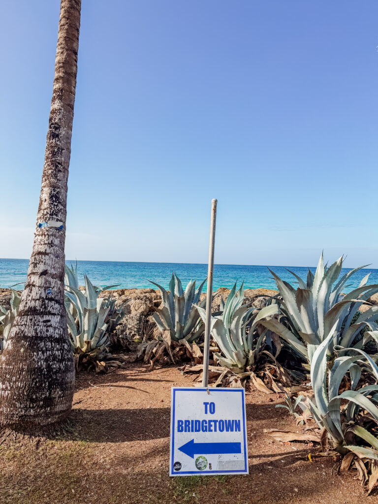 walking to bridgetown from port barbados
