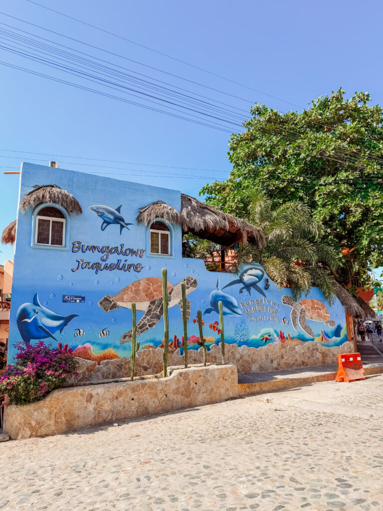 street scenes in sayulita