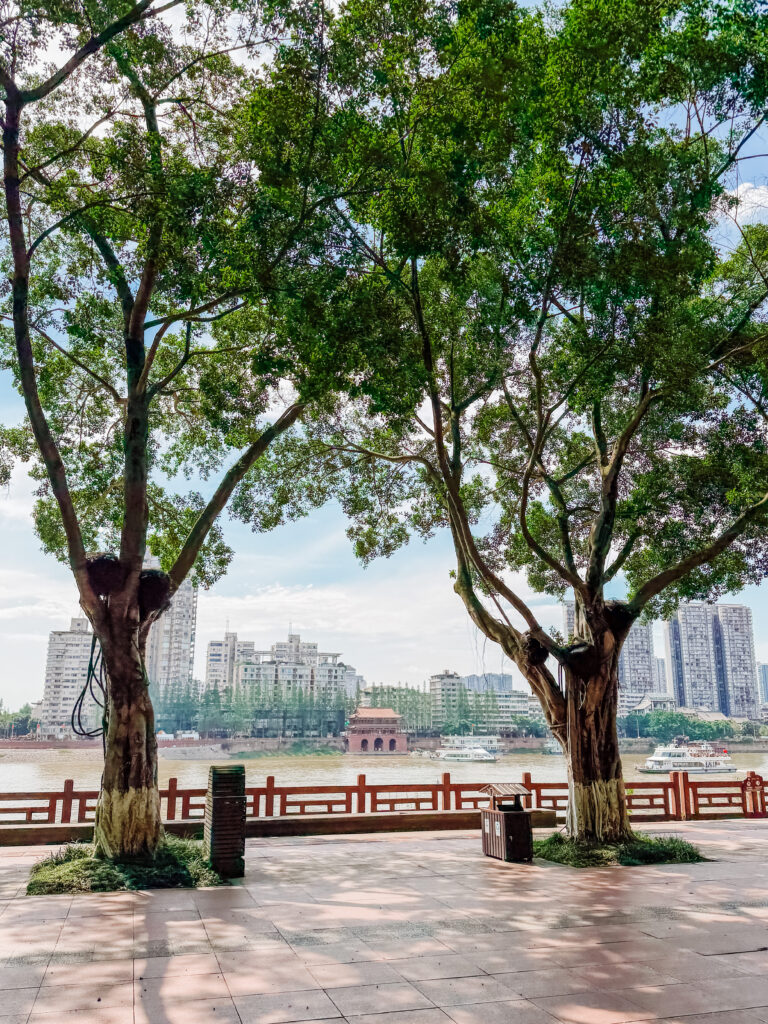 the path along the river at leshan scenic area