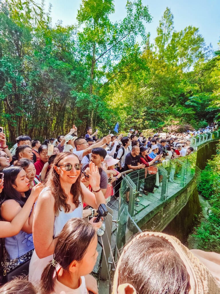 panda enclosure