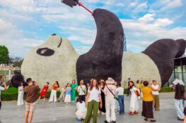 Dujiangyan Travel Guide: Blue Tears, Panda Valley & One-Night Itinerary