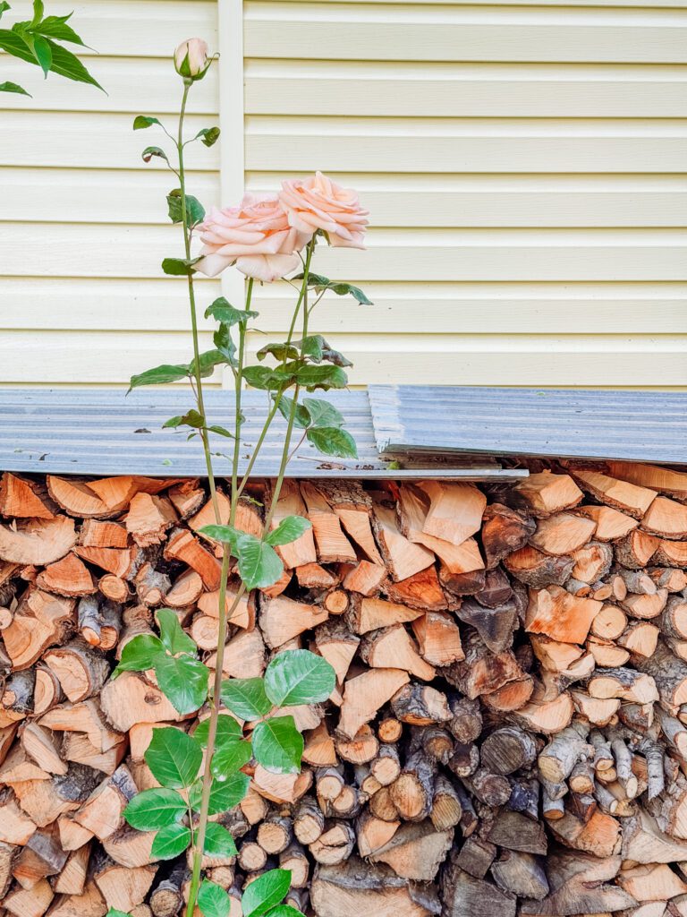 beautiful details at our tamga homestay