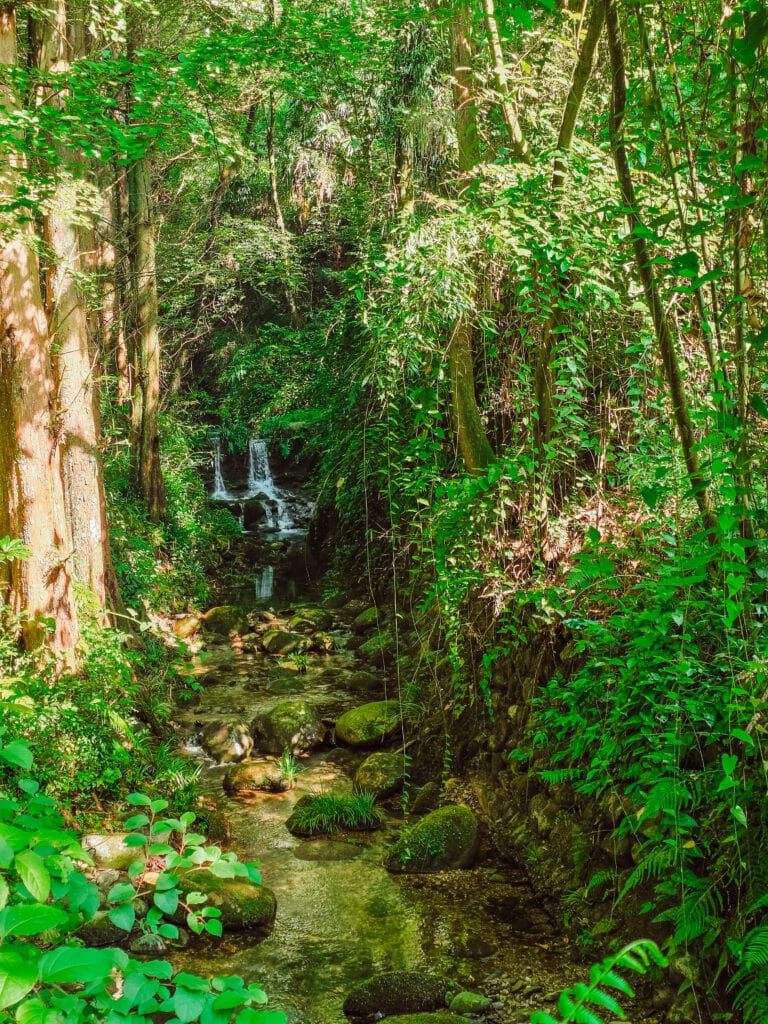the landscaping at panda valley