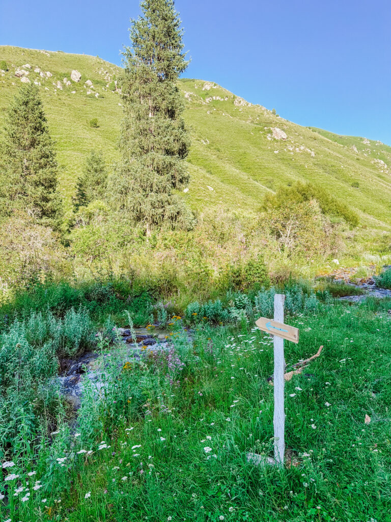 in chon kemin national park