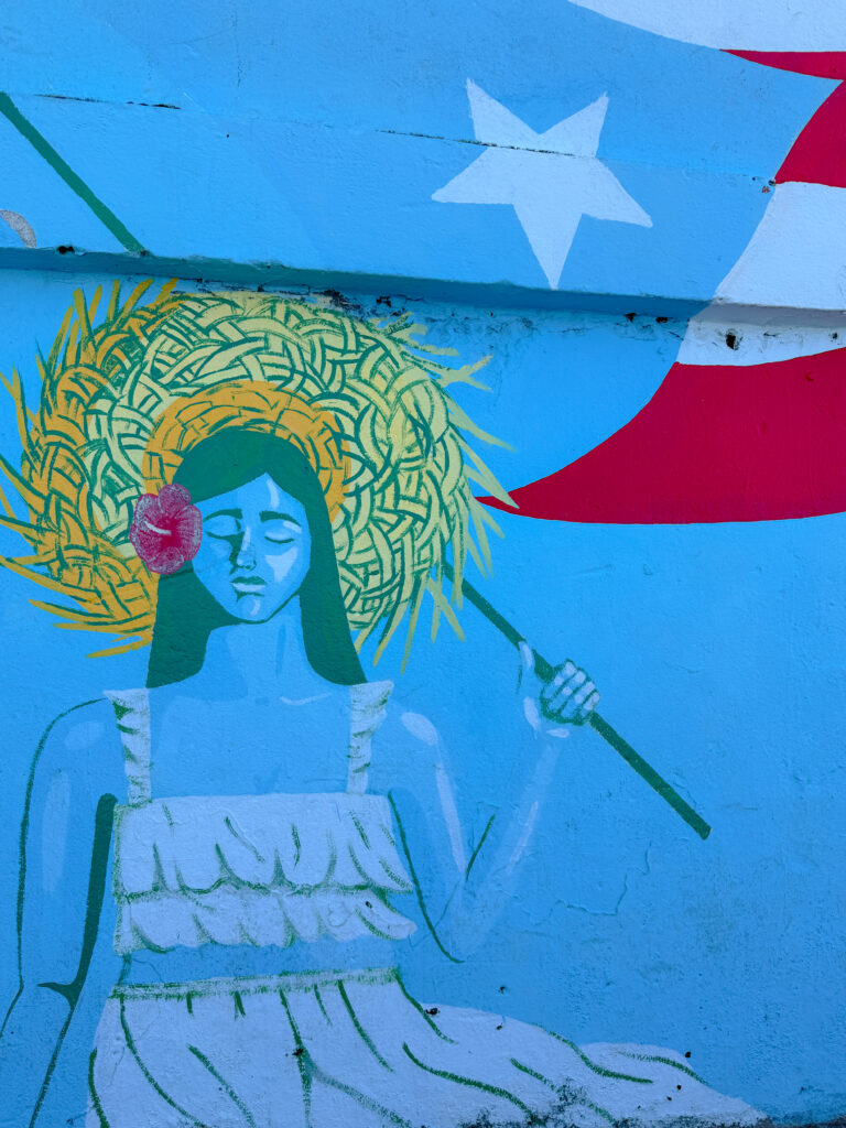 the street art is beautiful in old san juan