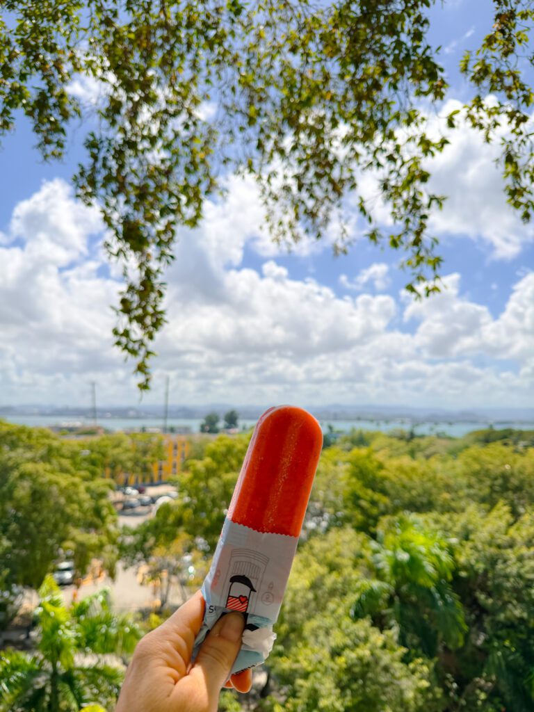 delicious icy paletas in old san juan