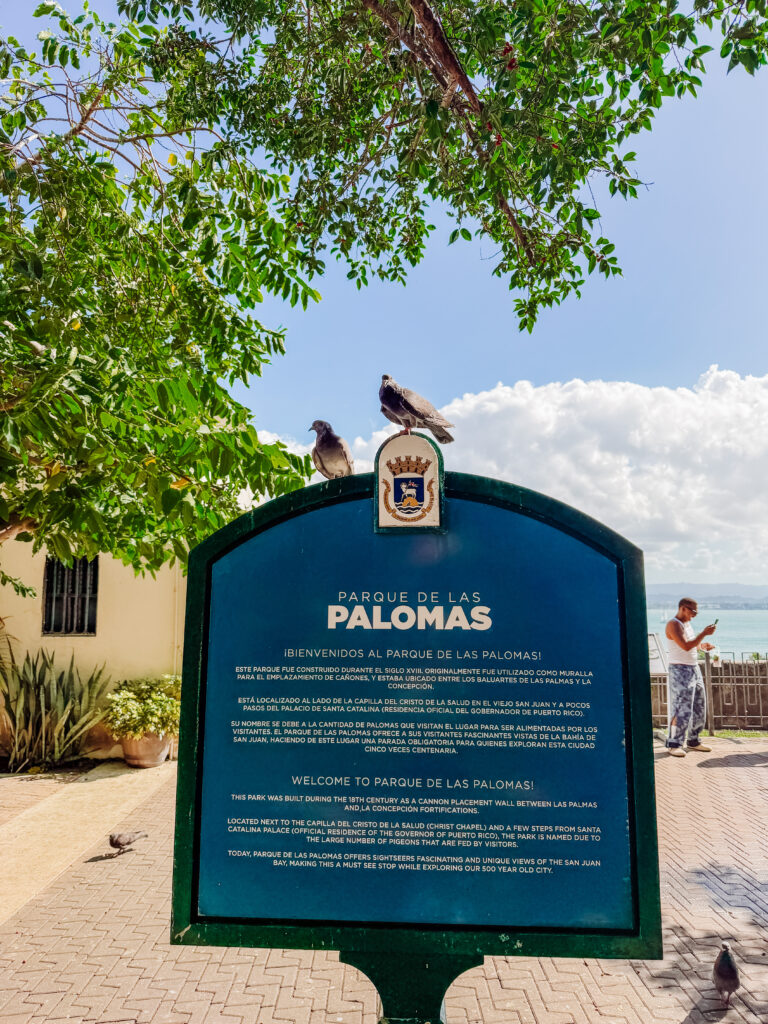 parque de palomas old san juan