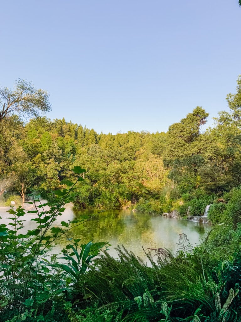 the landscaping at panda valley was lovely