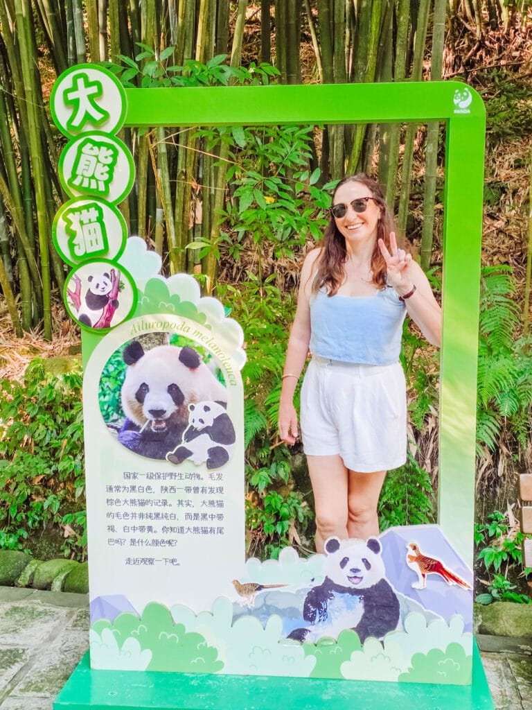 signage at panda valley