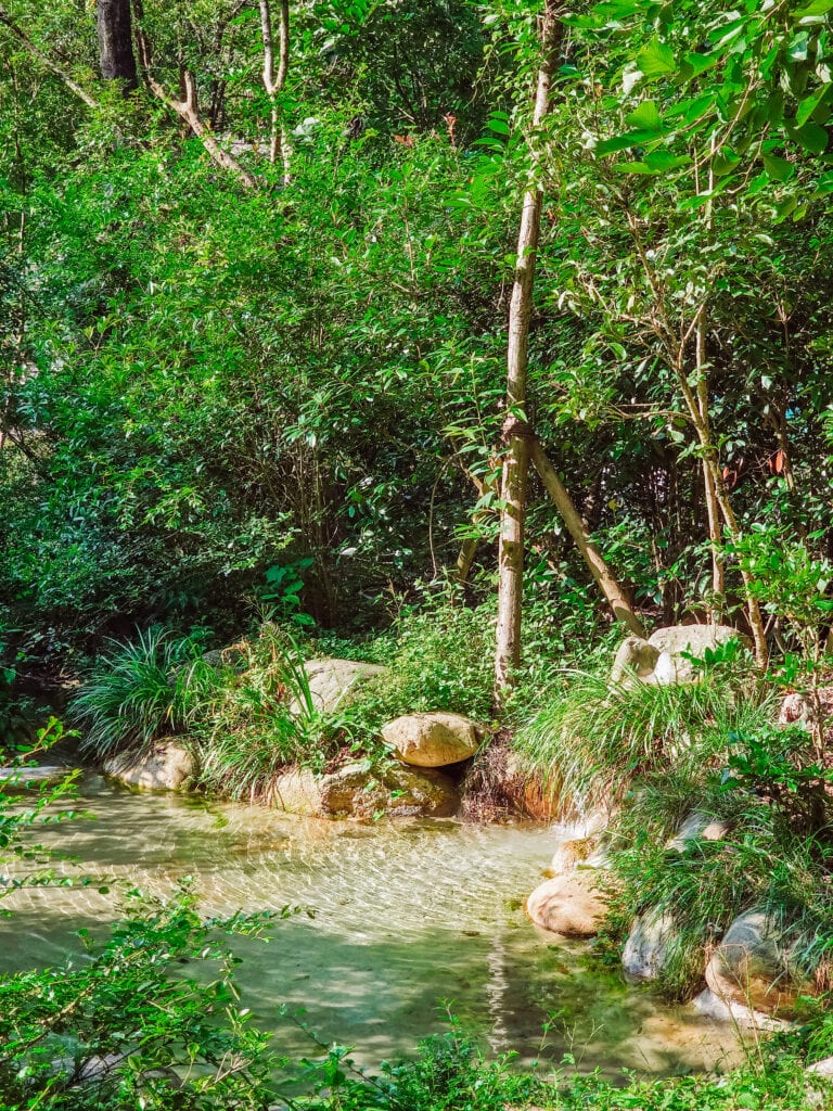 ponds at panda valley